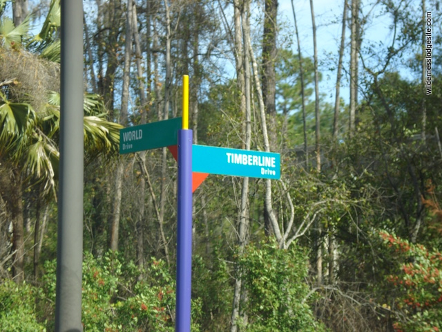Intersection of World and Timberline Drives